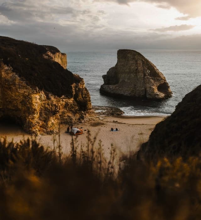 Tropical Paradise Recreation